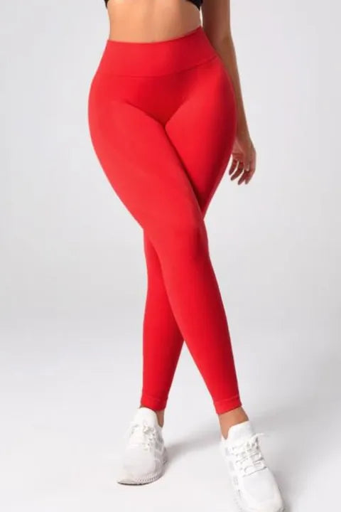 High Waist band active pants - Active Pants - Exercise Pants