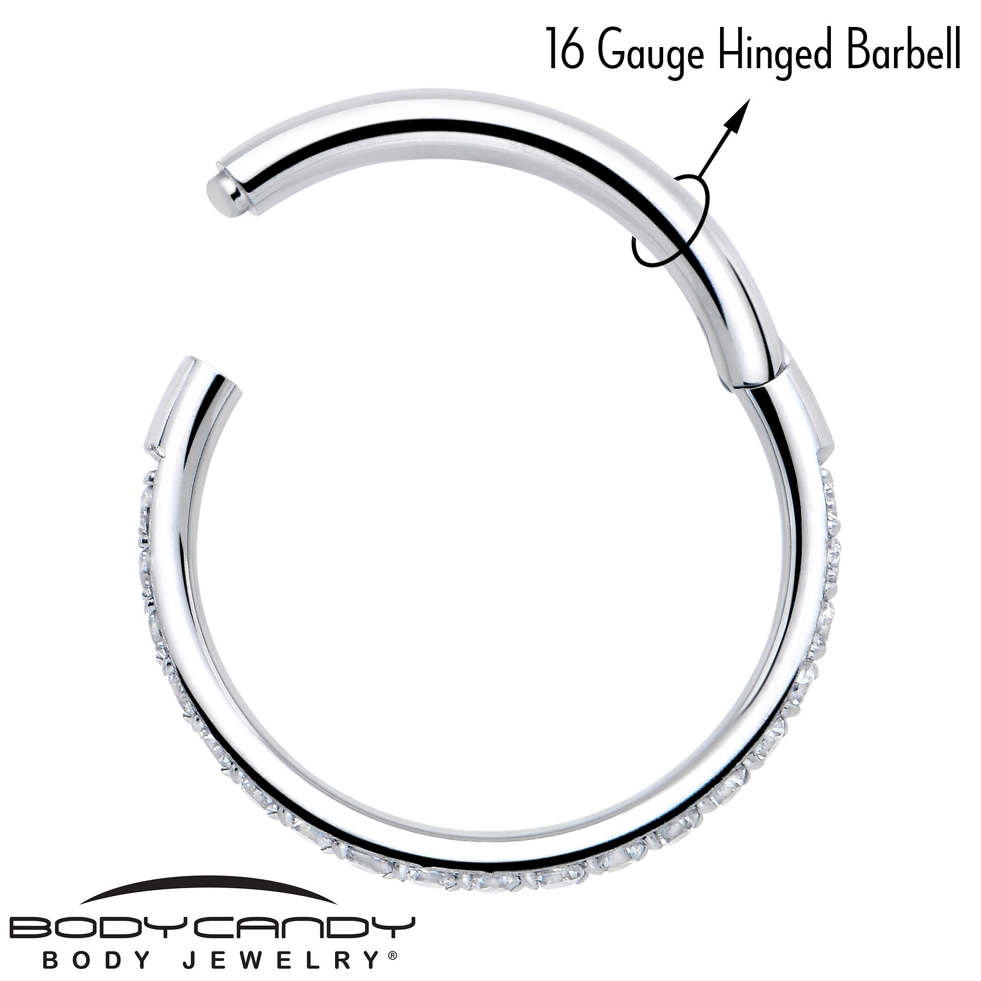 16G Clear Cubic Zirconia Forward Facing Hinged Segment Ring