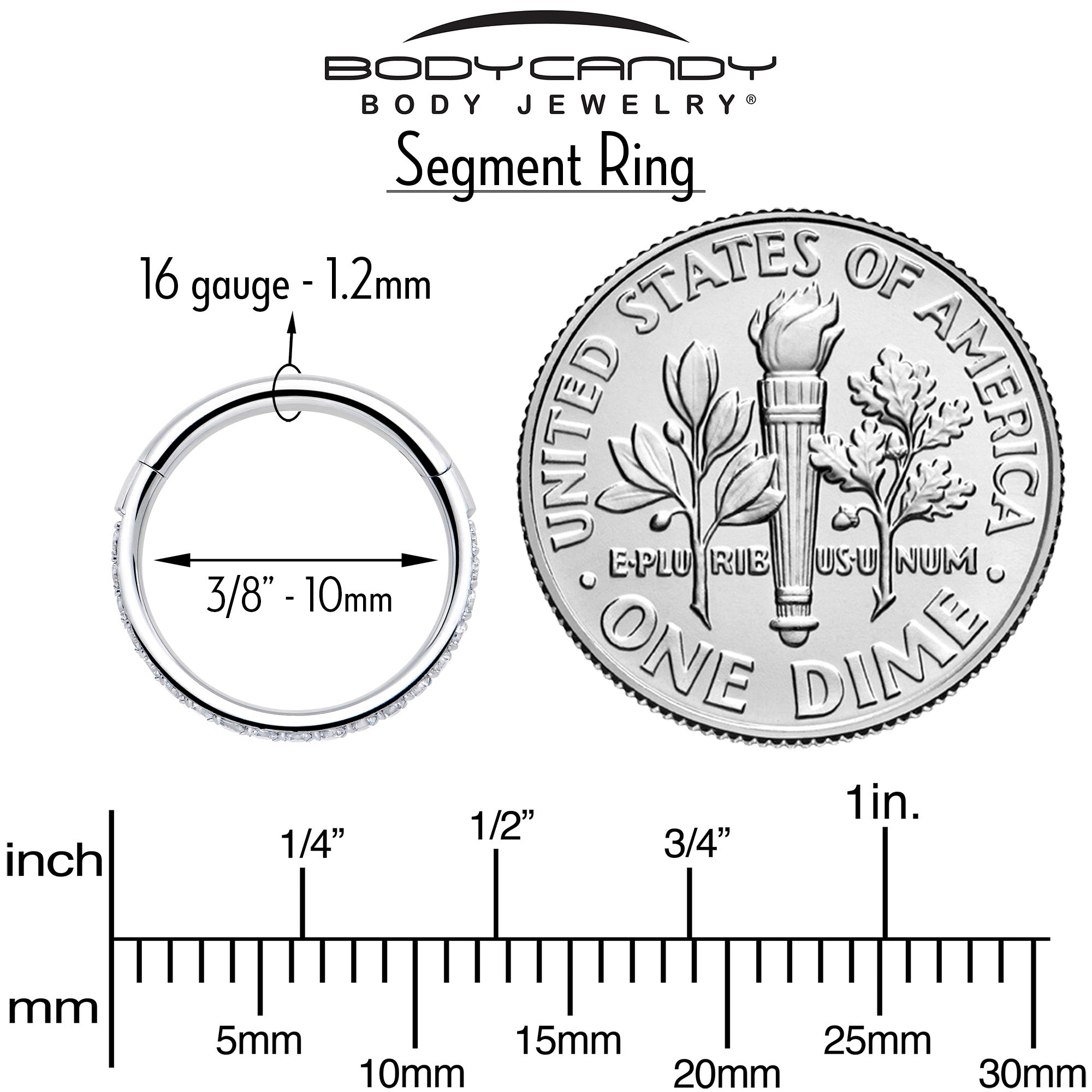 16G Clear Cubic Zirconia Forward Facing Hinged Segment Ring