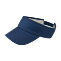 Rip Visor