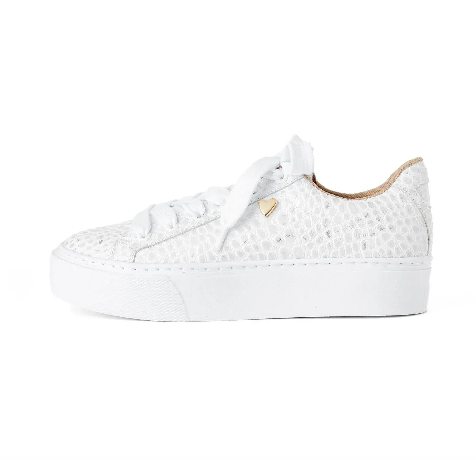 Women's Carmina Sneakers