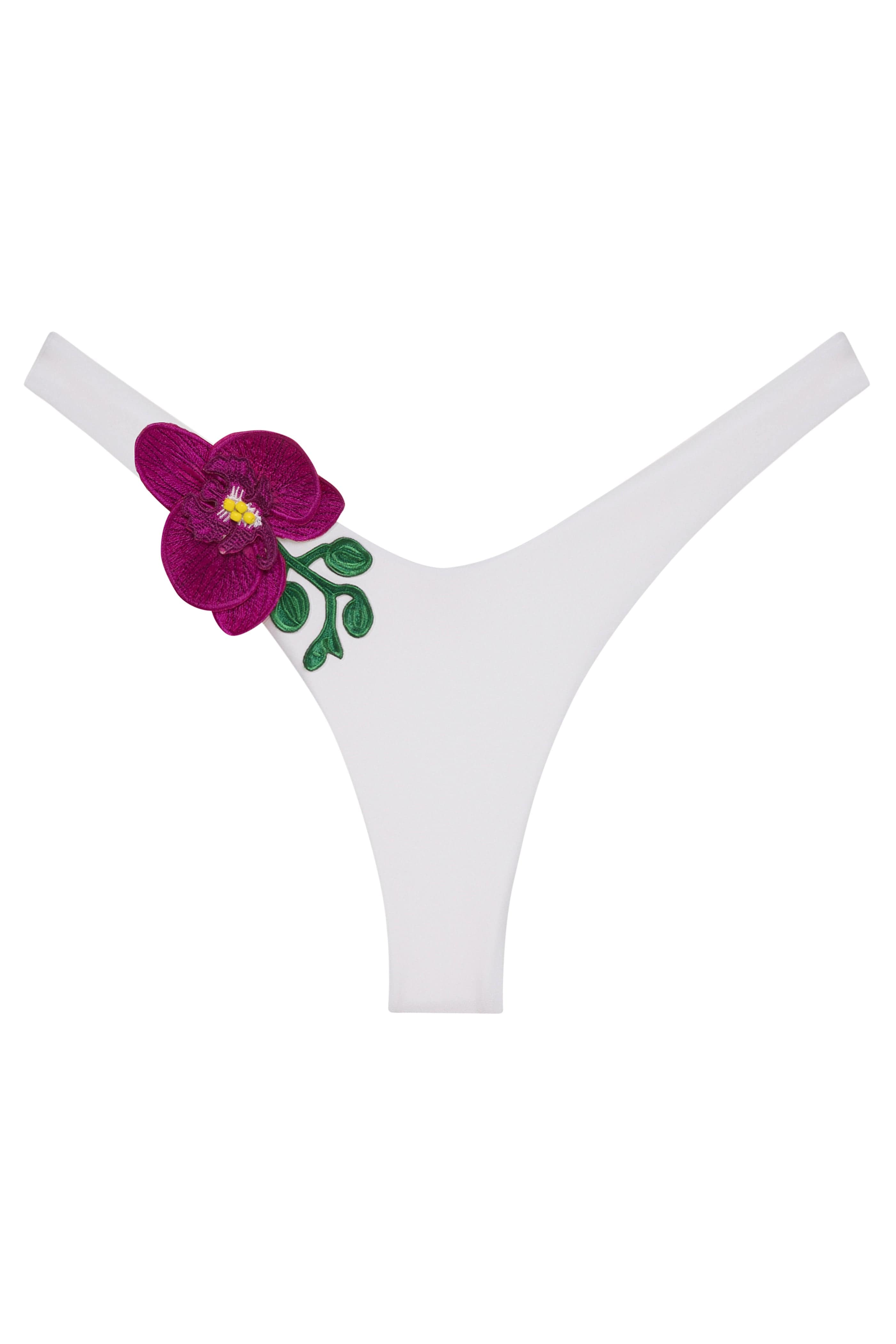 Orchideen von Biscayne Bottom